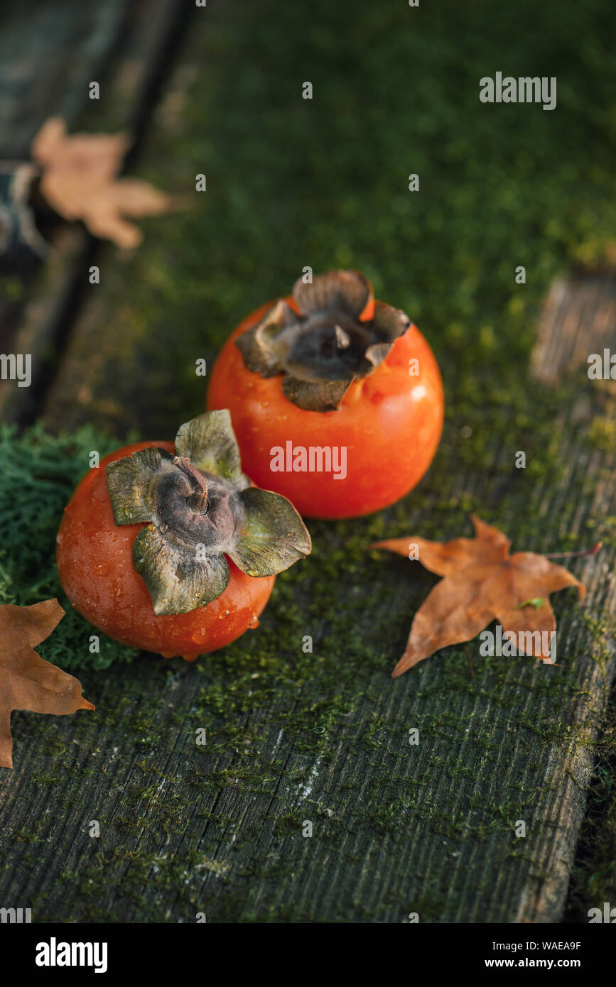 Fresh ripe persimmon on green moss. Autumn harvest concept with copy space. Dark food photography. Stock Photo