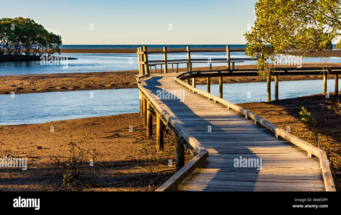 A Boardwalk winding it's way through the Mangroves Stock Photo