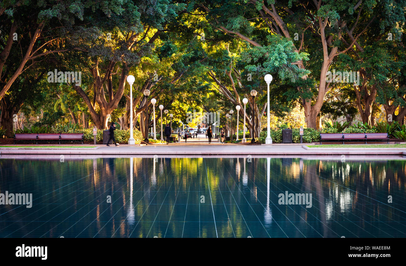 Sydney, NSW / Australia - July 19 2019: Sunny tree lined path with people and water in foreground at Hyde Park Stock Photo