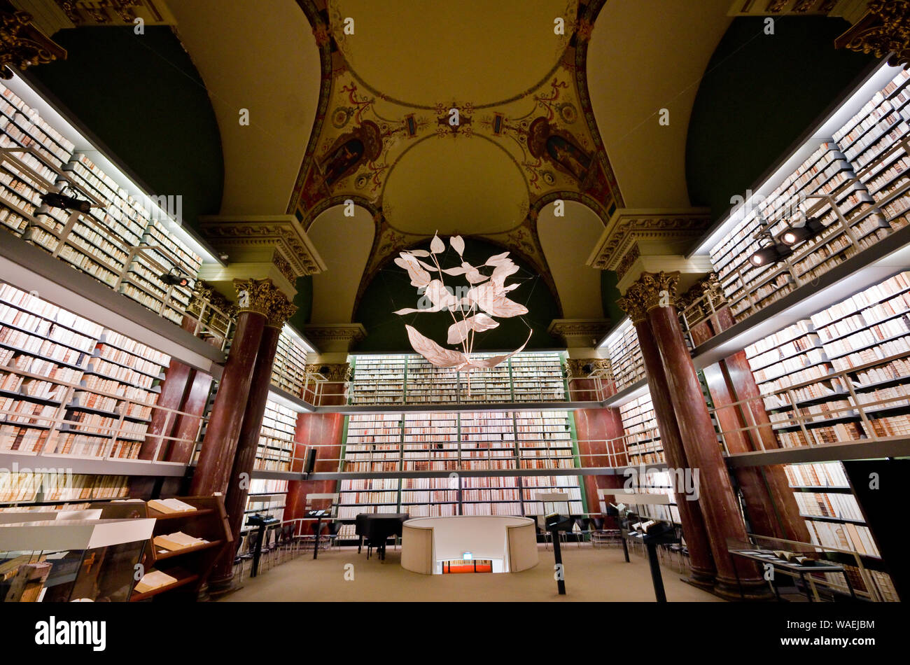 13 August 2019, Lower Saxony, Wolfenbüttel: Precious books can be found in the Herzog August Library. Photo: Julian Stratenschulte/dpa Stock Photo