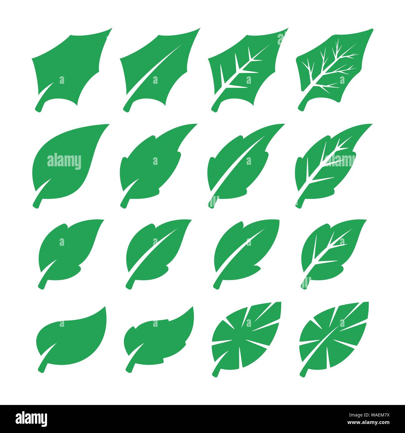 Green leaf set Stock Vector Image & Art - Alamy