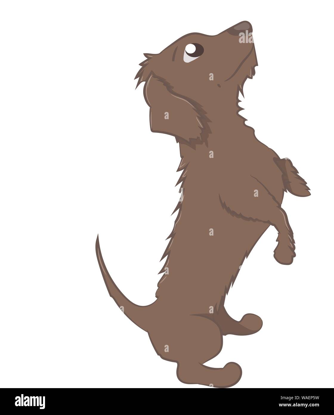 dachshund that asks for food, vector Stock Vector