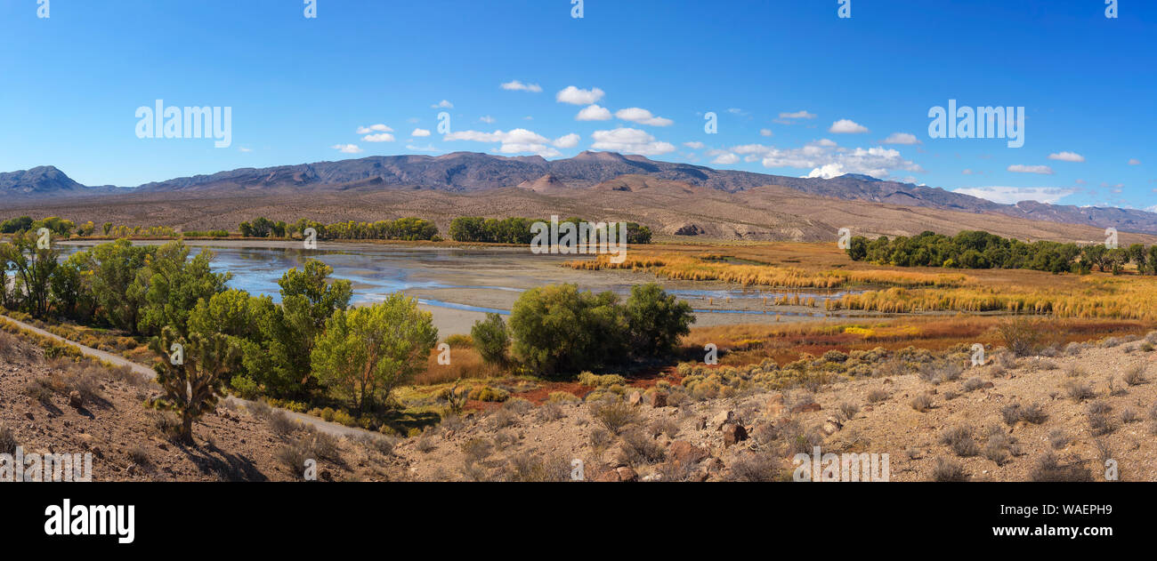 Pahranagat Lake located in the Pahranagat National Wildlife Refuge, Nevada Stock Photo