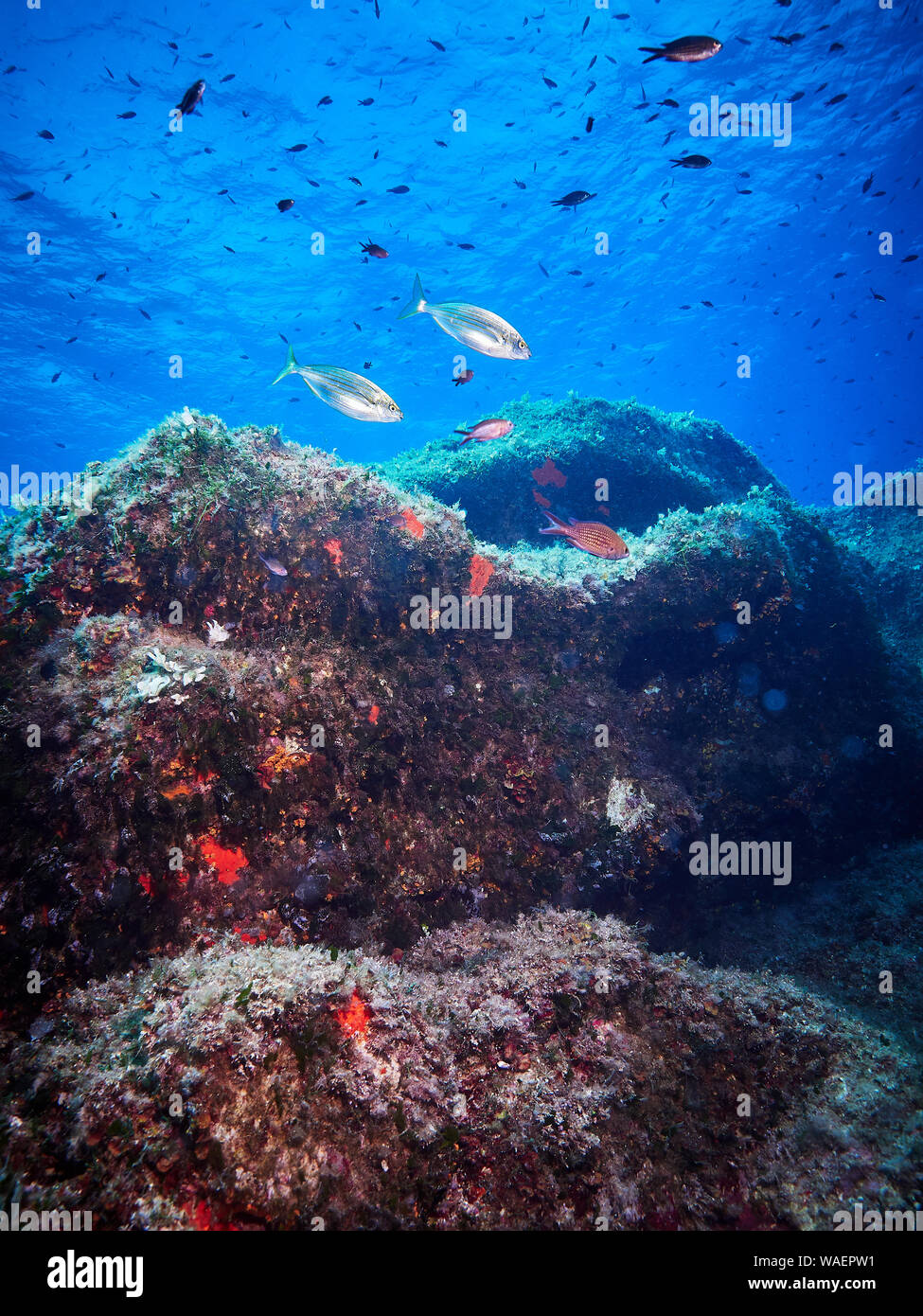 Colorful mediterranean seascape Stock Photo