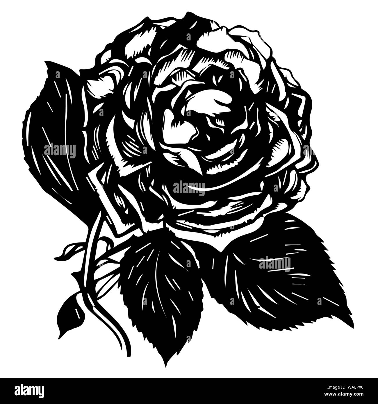 Old school rose tattoo. black ink. Isolated vector illustration.  Traditional Tattoo Flowers Ink Roses Stock Vector Image & Art - Alamy