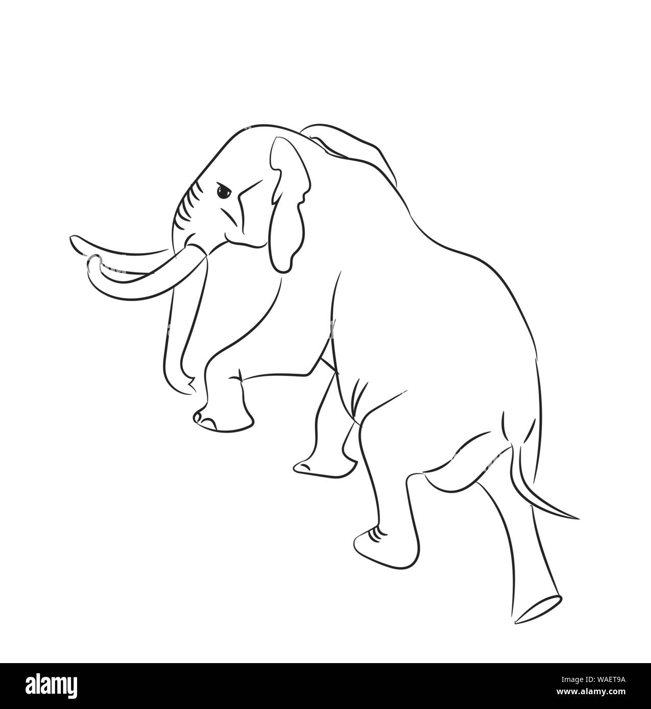 elephant graphic line, goes, vector, white background Stock Vector