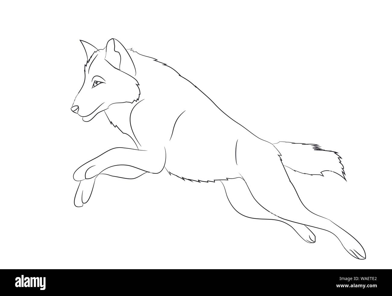 wolf runs, image lines, vector, white background Stock Vector