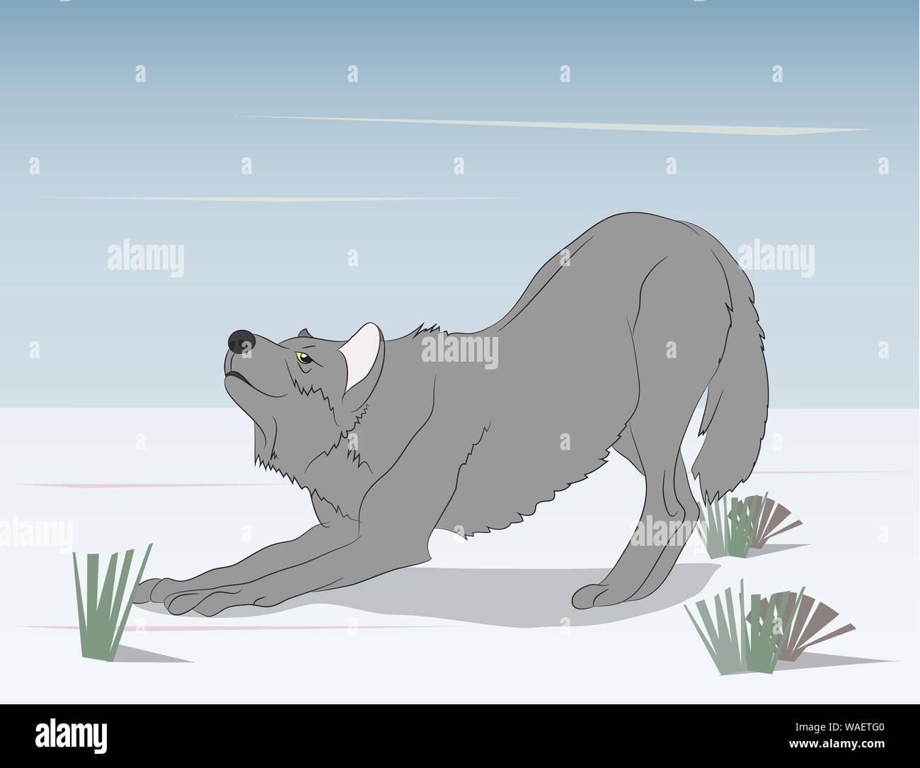 wolf on nature background, vector, gray wolf stretches Stock Vector ...