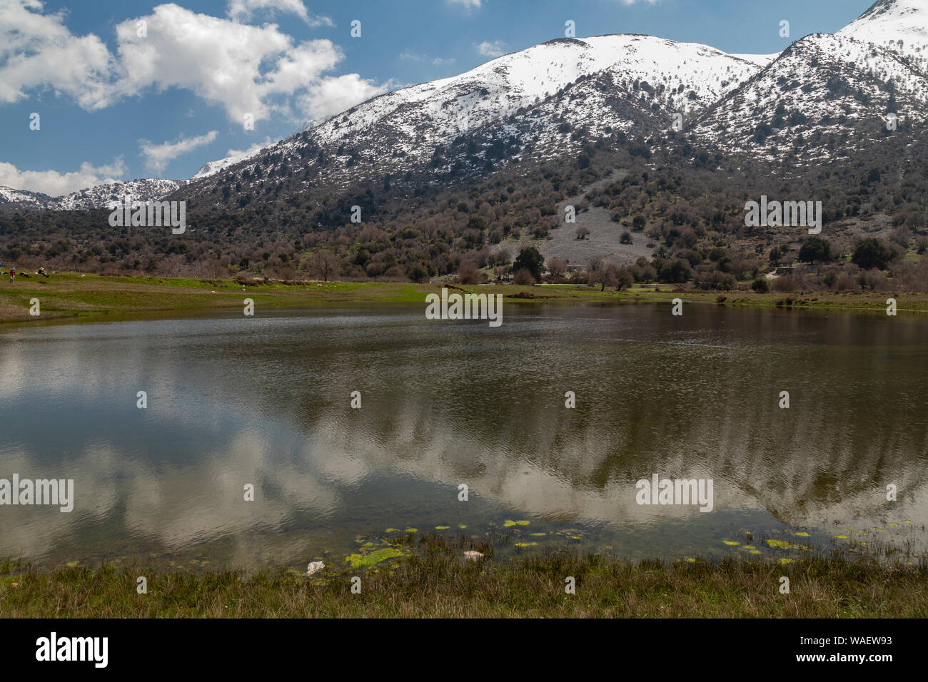 Omalos pond, a Mediterranean Temporary Pond on the Omalos plateau, White mountains, Crete. Stock Photo