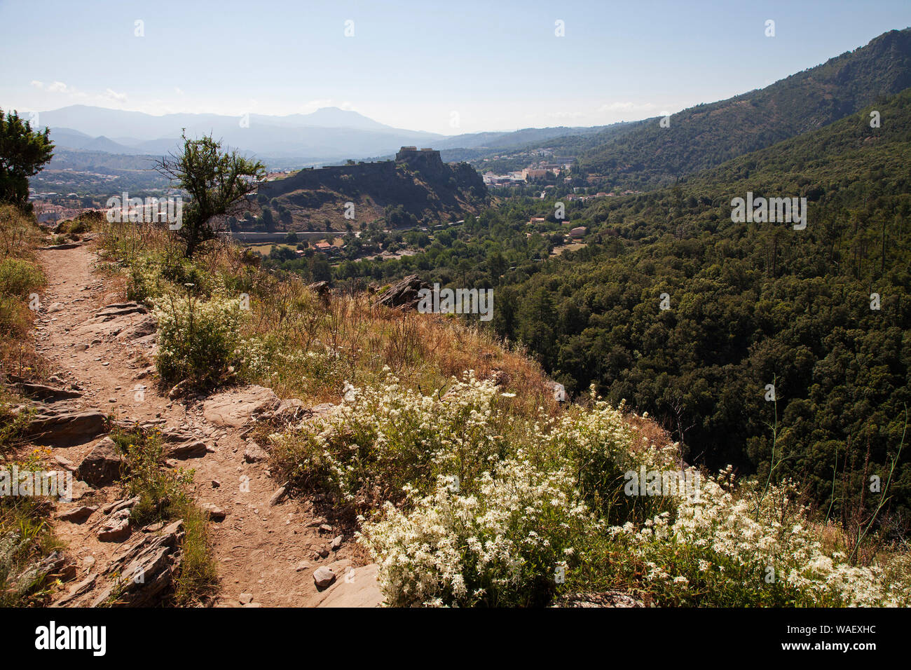 Footpath in the Tavignanu Valley with the citadel of Corte beyond, Regional Natural Park of Corsica, France, July 2018 Stock Photo