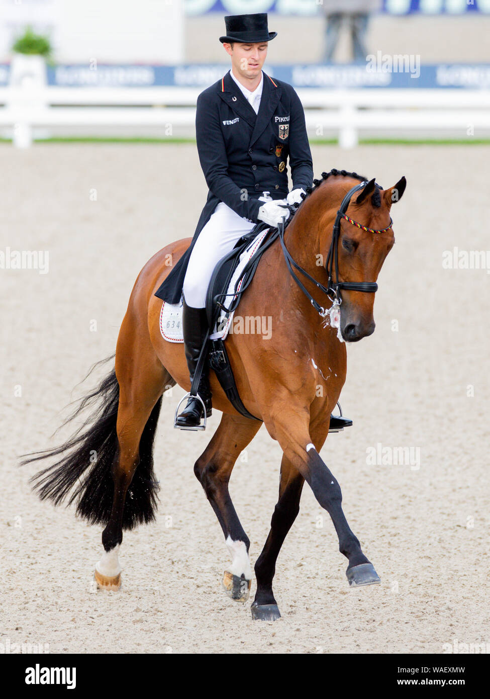 Euro Equestrian Rider Rotterdam, Netherlands. 20th Aug, 2019. European championship ...