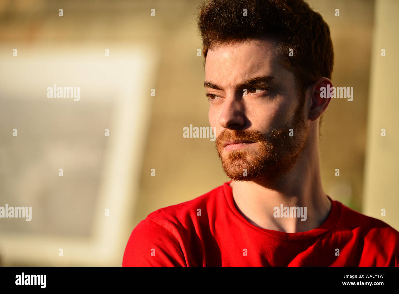 Handsome young man with red hair Stock Photo