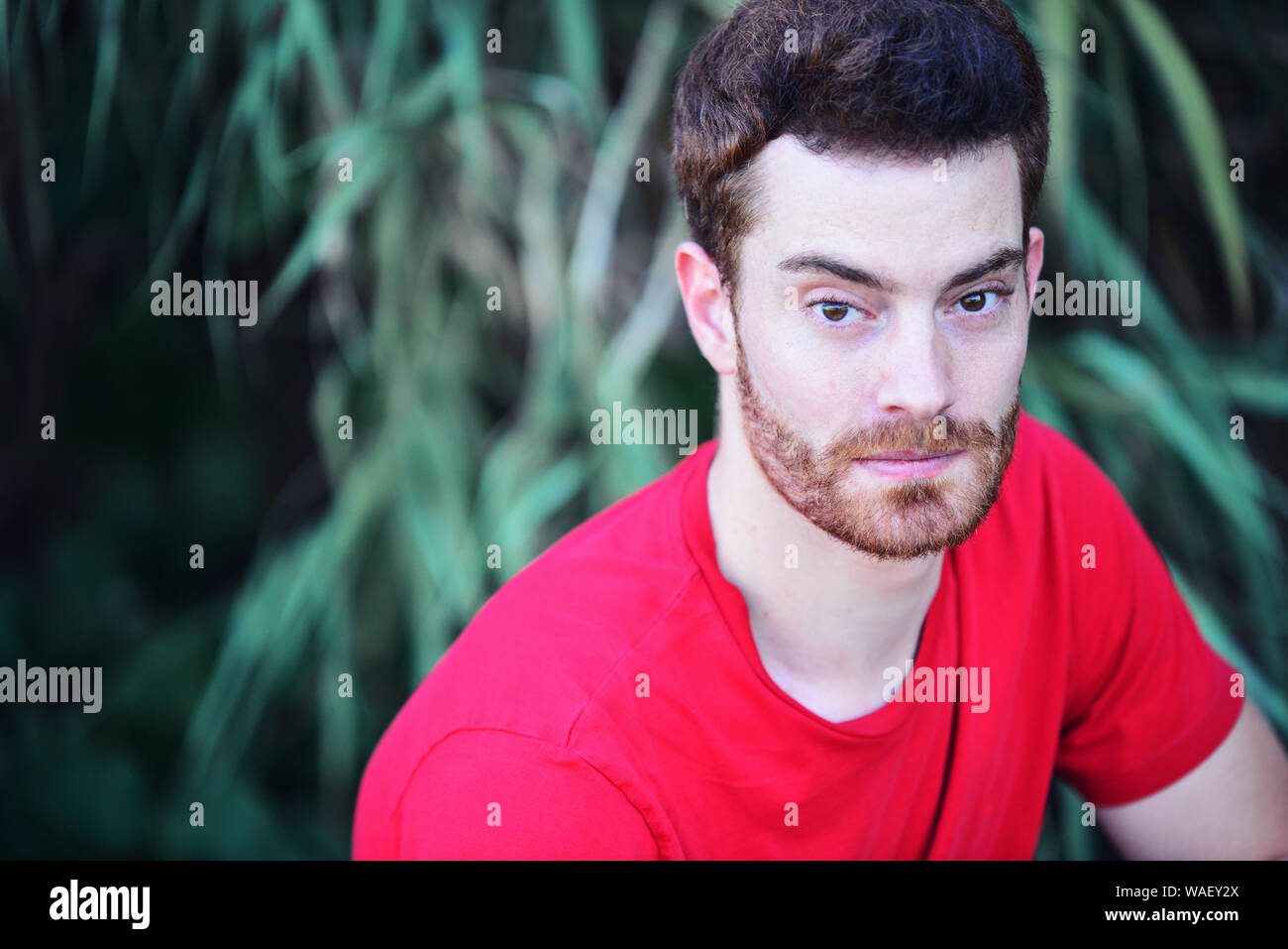 Attractive ginger hair man hi-res stock photography and images - Alamy