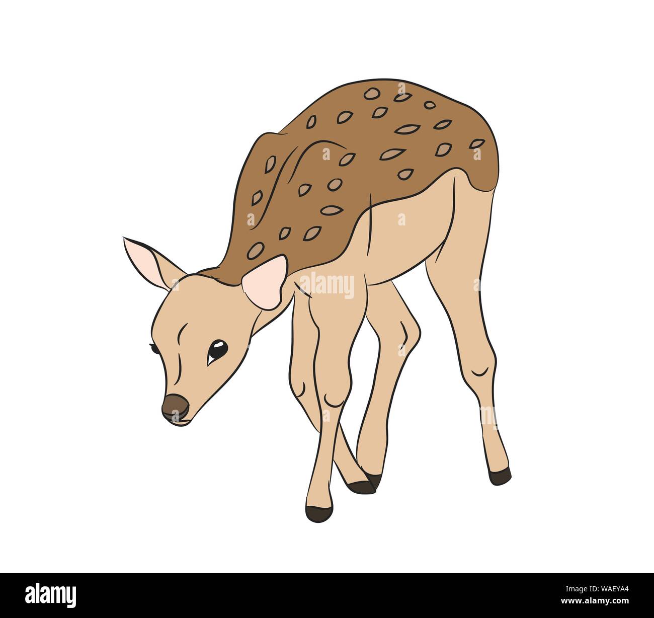 vector illustration baby deer, silhouette, vector, white background Stock Vector