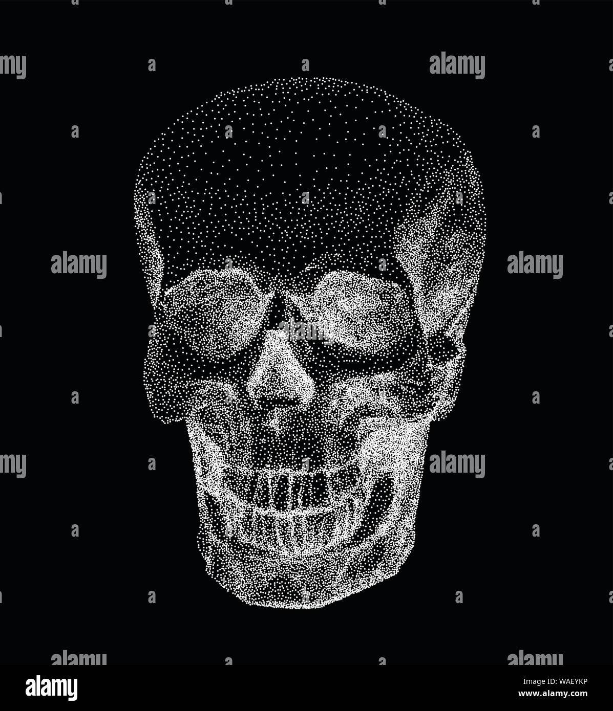 Human Skull Full Face From Digital White Dots On Black Background