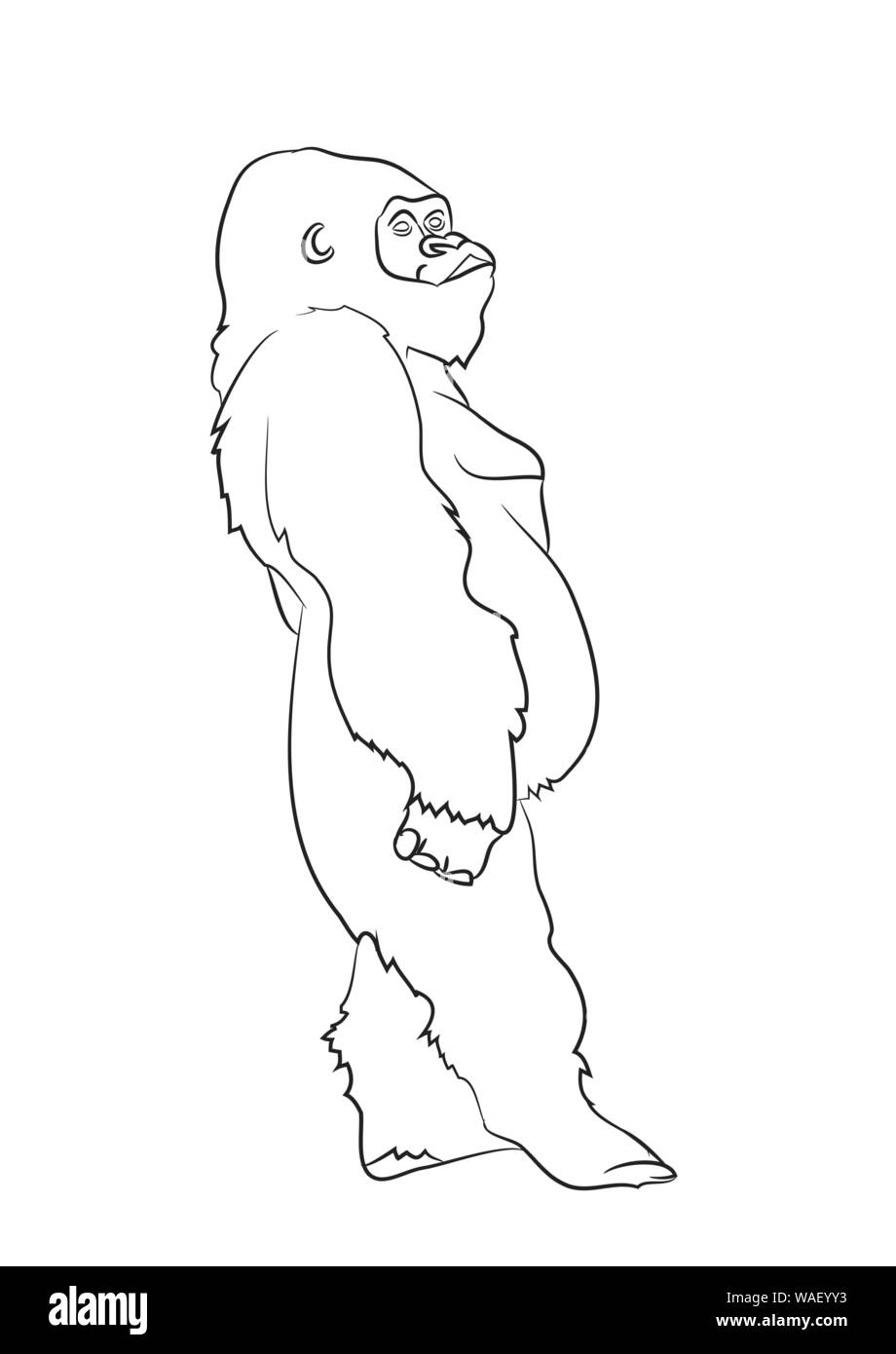 vector illustration of a gorilla, drawing by lines, vector, white background Stock Vector
