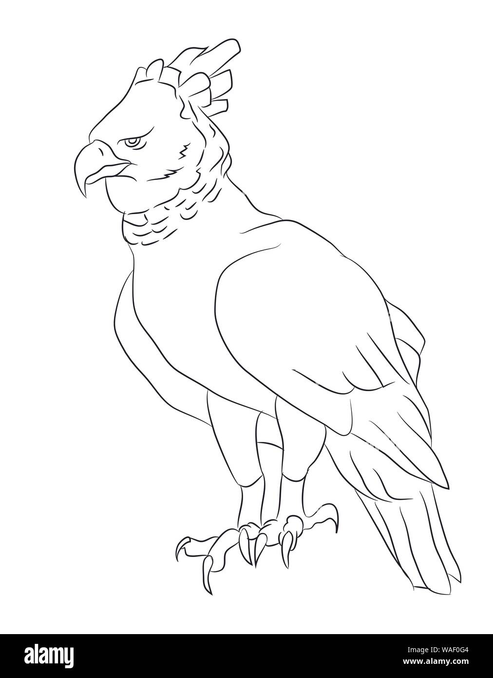 eagle sits drawing lines, vector, white background Stock Vector