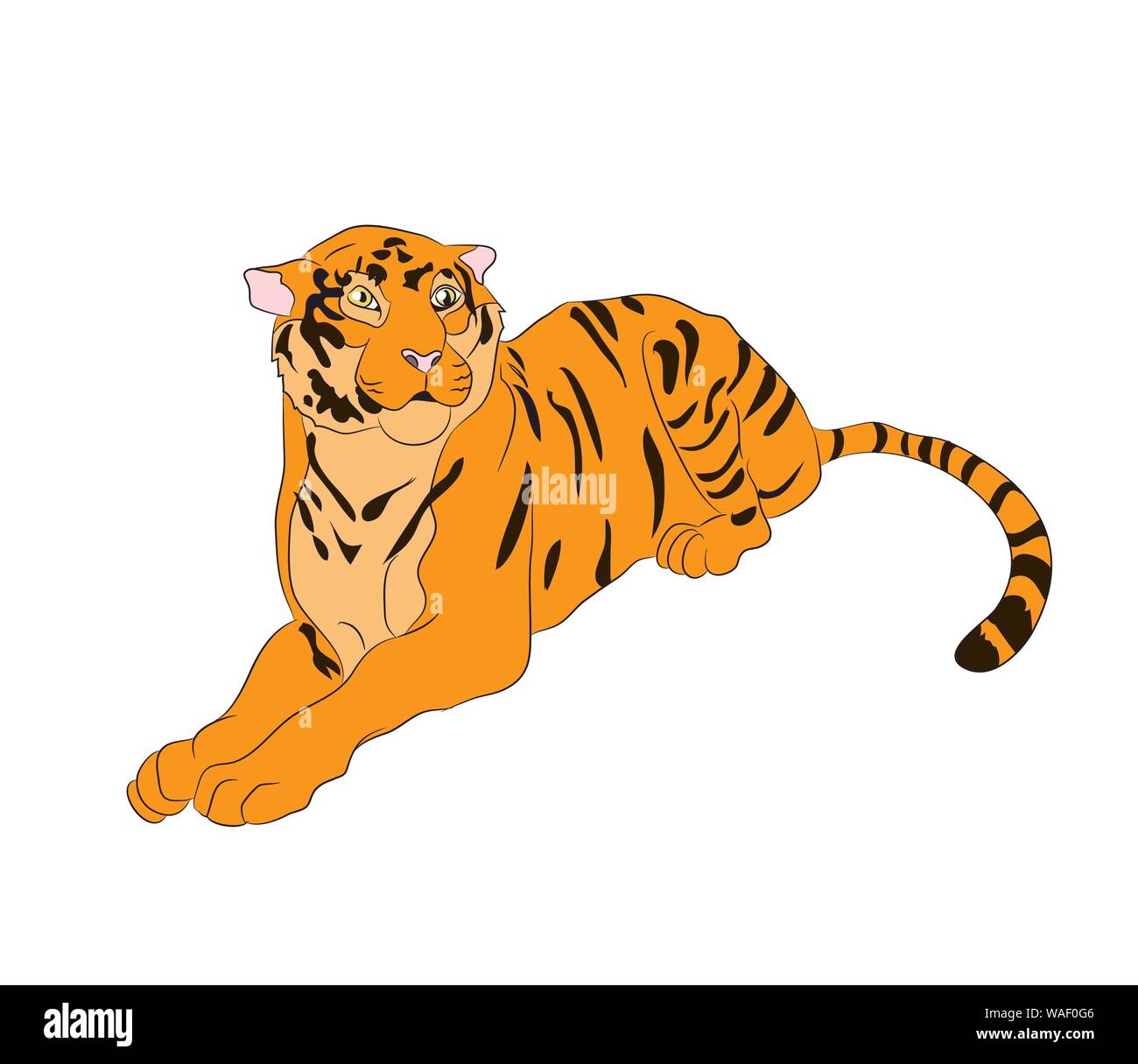 vector illustration of a tiger that lies, drawing, vector, white background Stock Vector