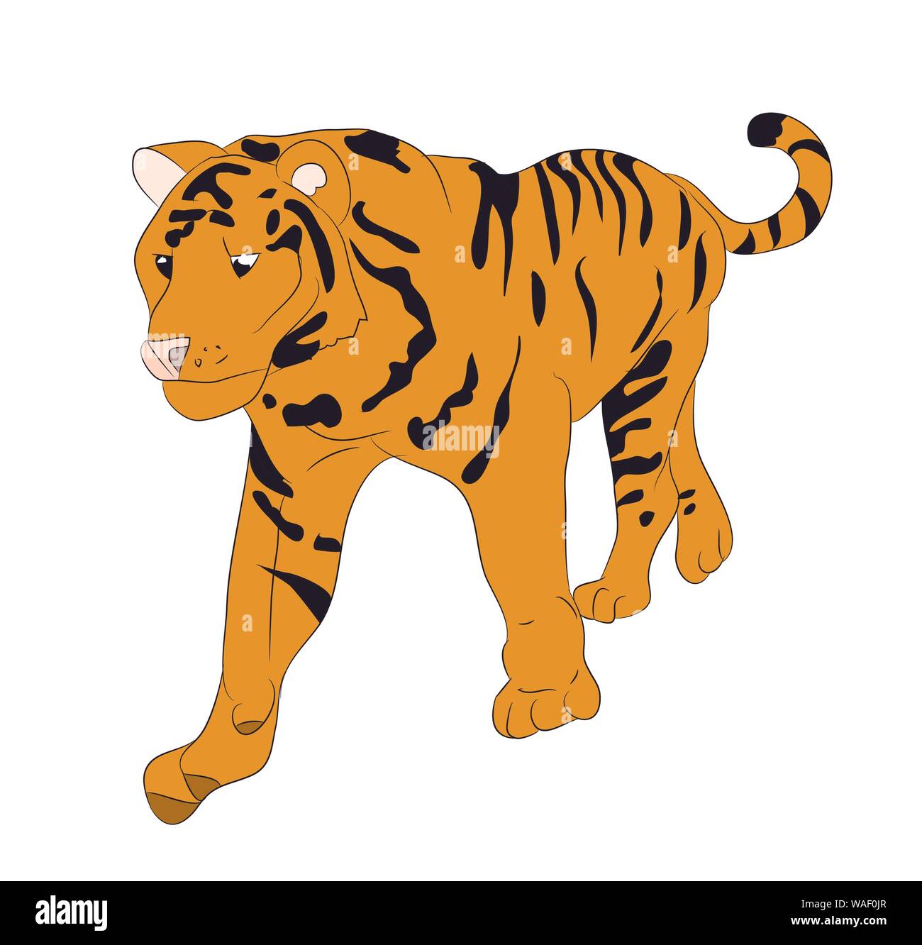 vector illustration of a tiger that stands, drawing, vector, white background Stock Vector