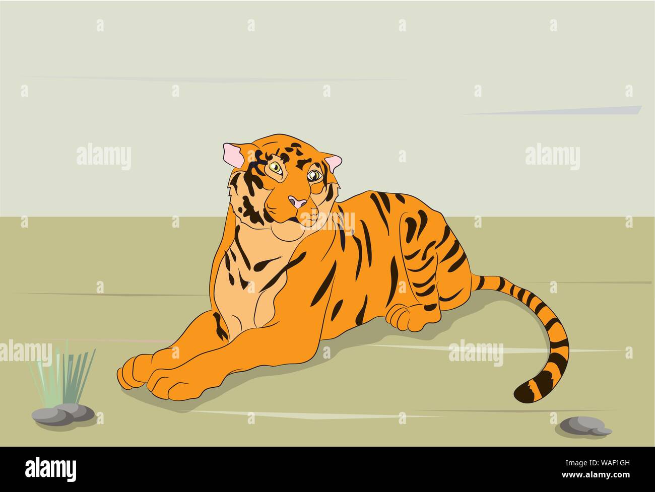 Wild bengal tiger nature mammal cartoon animal Vector Image