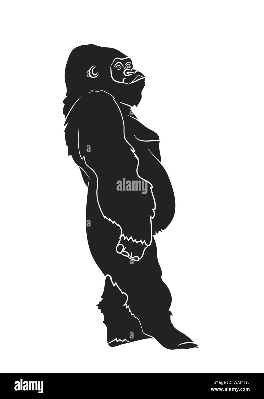 vector illustration of a gorilla, drawing silhouette, vector, white background Stock Vector
