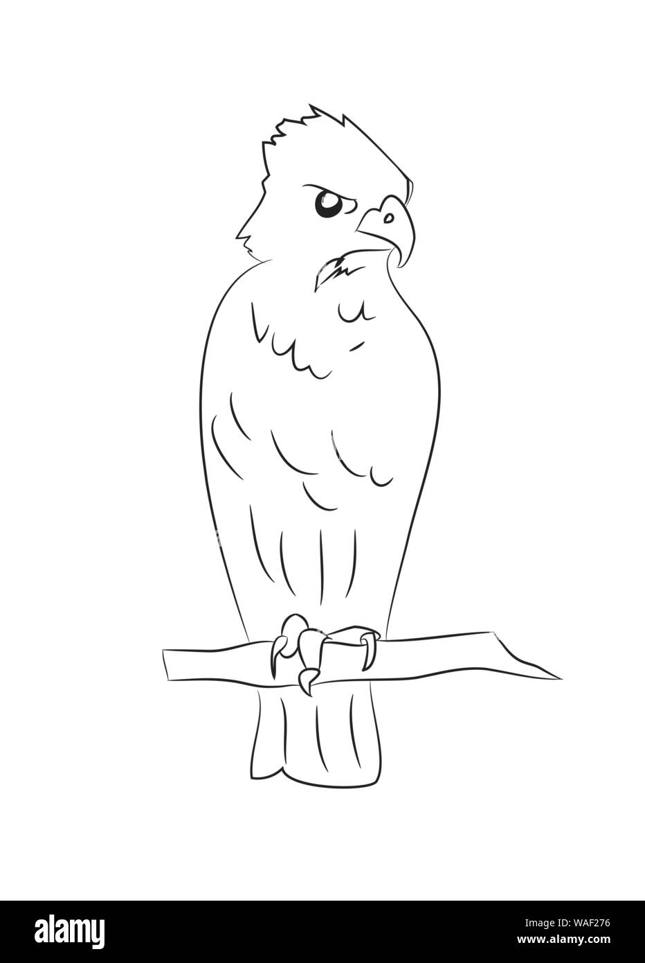eagle sits drawing lines, vector, white background Stock Vector