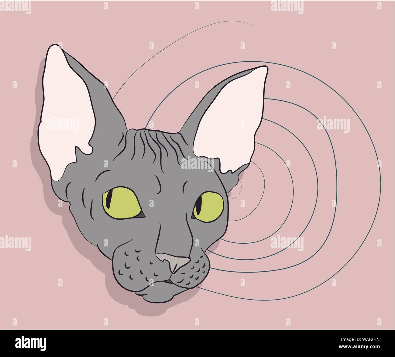 vector illustration, portrait of a cat, bright background, vector Stock Vector