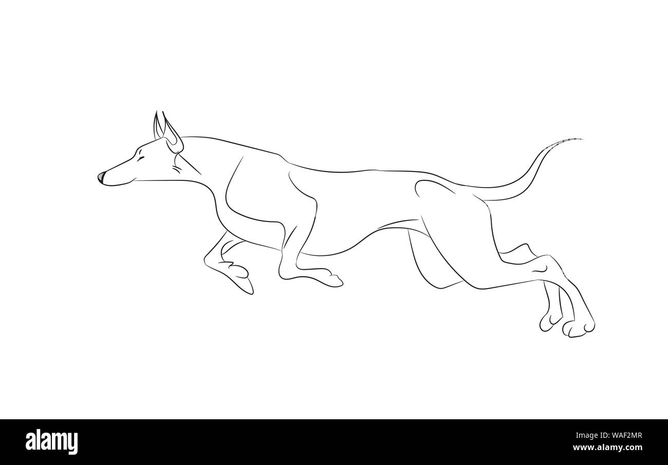 dog running, lines, vector, white background Stock Vector Image & Art
