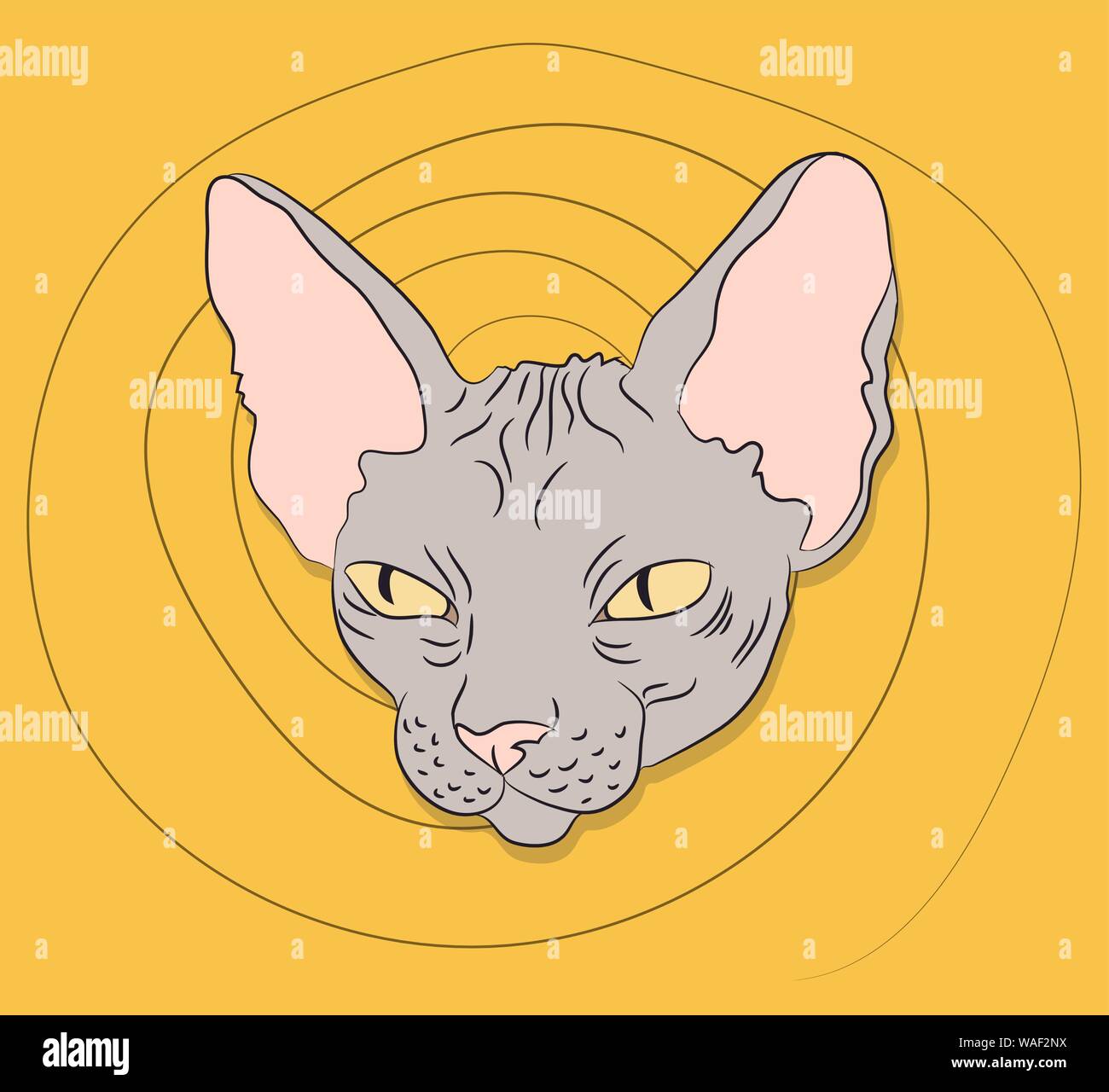 vector illustration, portrait of a cat, bright background, vector Stock Vector