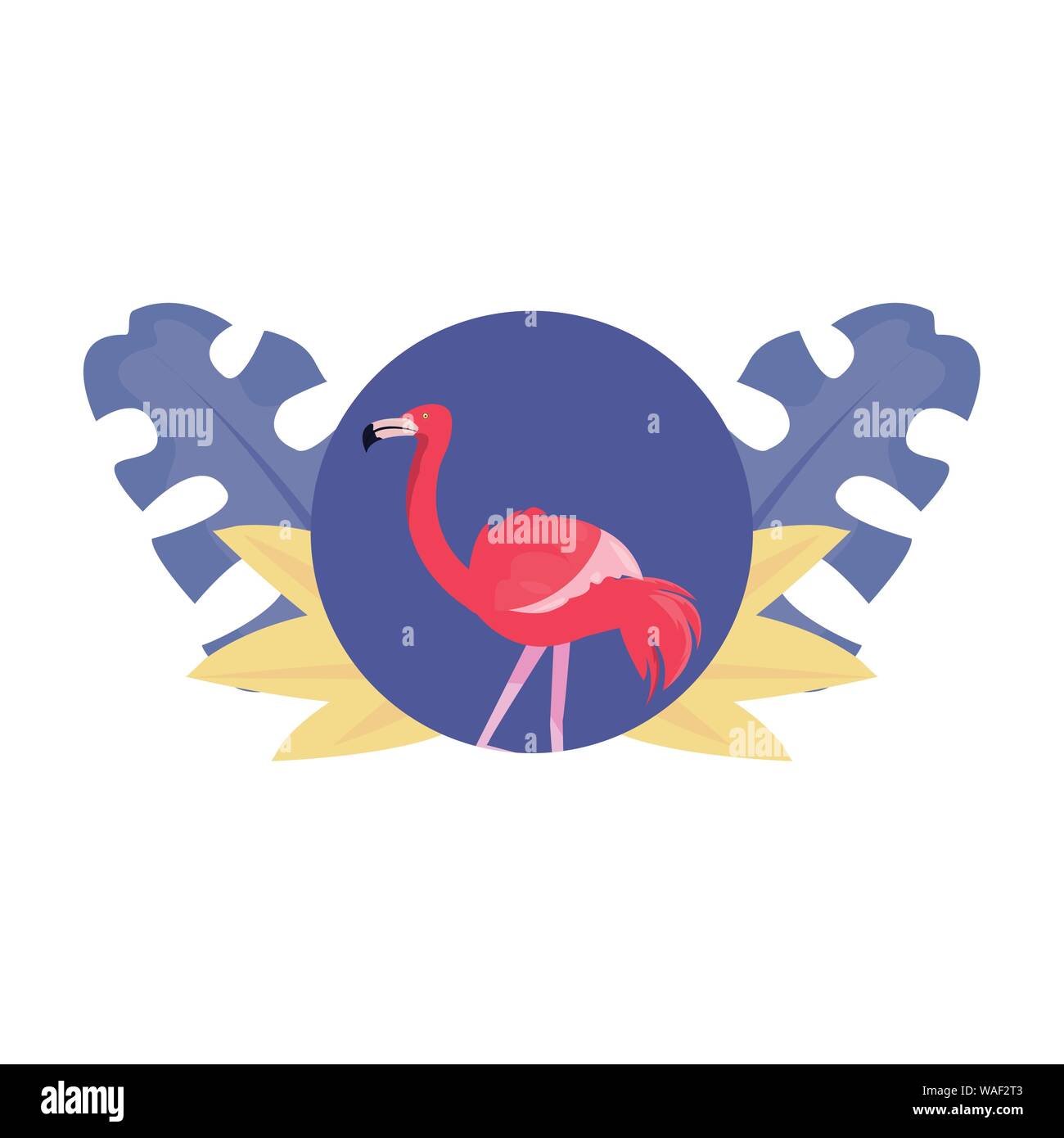 flamingo bird - summer time vacations vector illustration Stock Vector ...