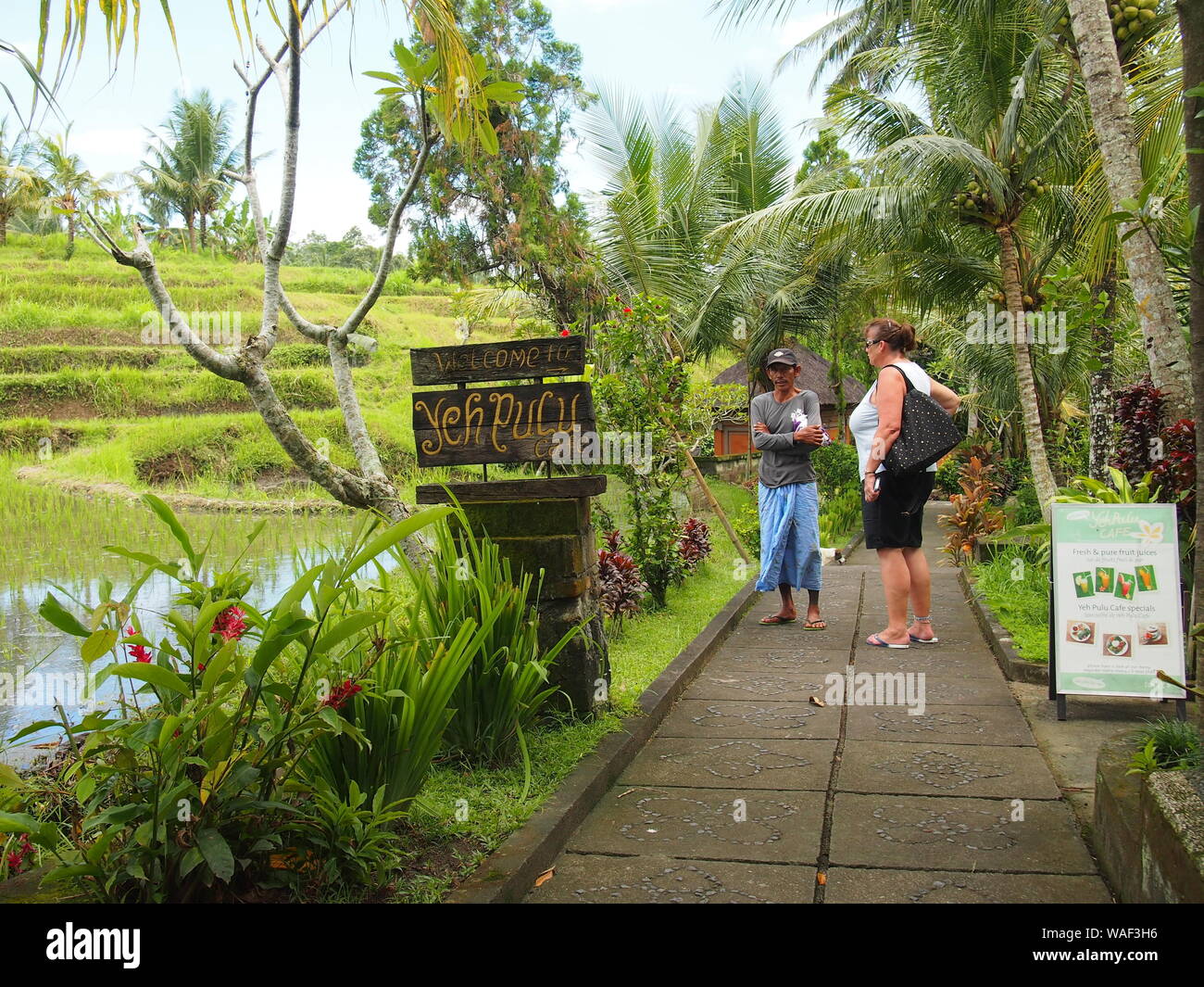 Bali Yeh Pulu wall carvings Stock Photo