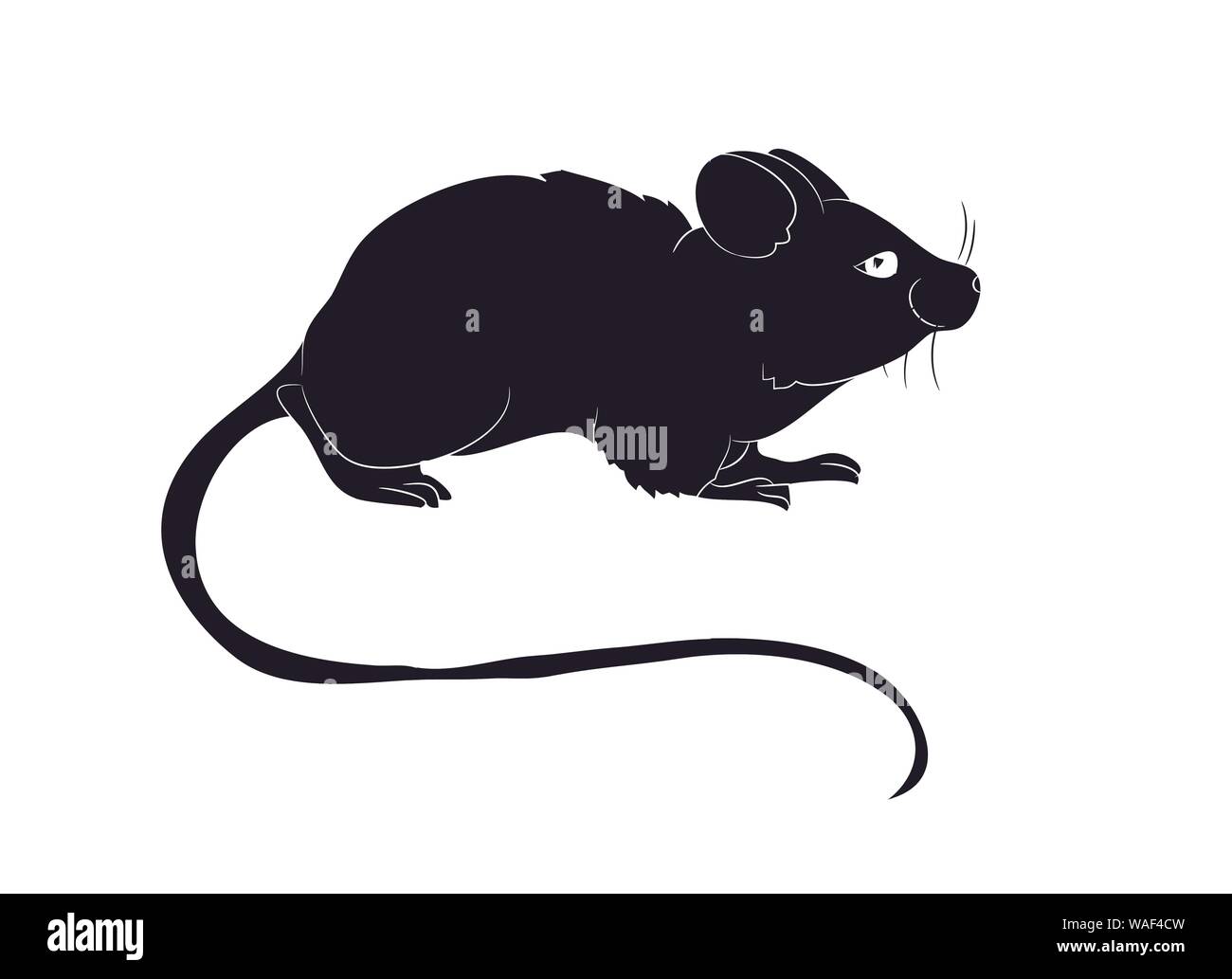 mouse stands drawing silhouette, vector, white background Stock Vector