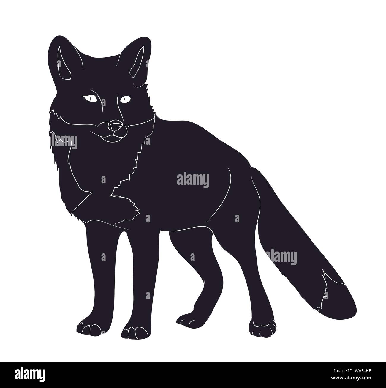fox stands silhouette drawing, vector, white background Stock Vector