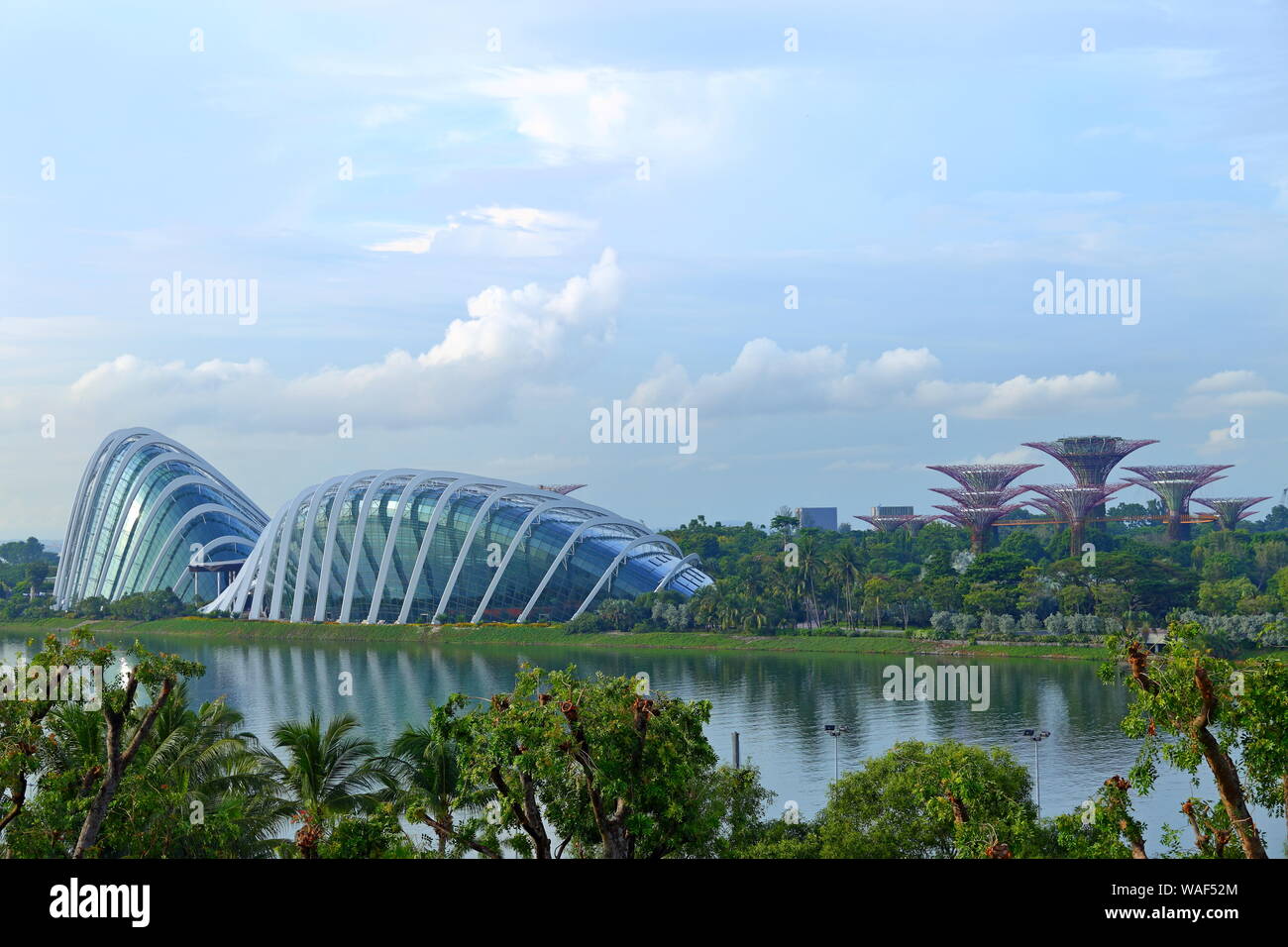 Gardens By The Bay and Singapore Flyer in Singapore Stock Photo - Alamy