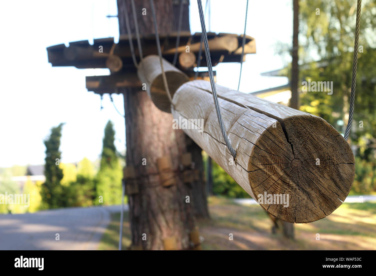 Rope park for children's outdoor games. Rope bridge in climbing forest