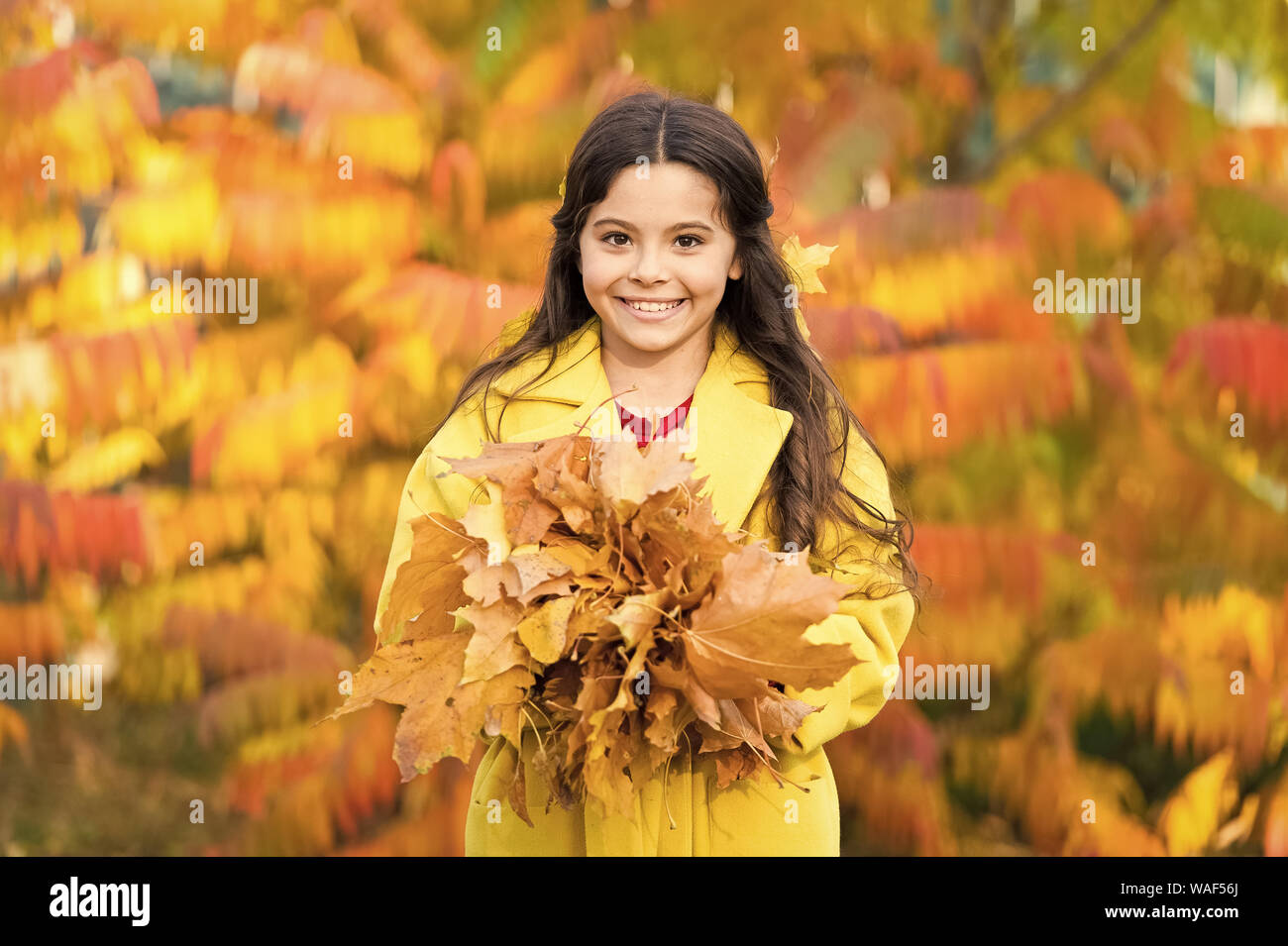 Be Stylish Little Fashionista In Stylish Wear Little Girl Happy Smiling With Autumn Leaves Happy Girl On Autumn Day Girls Autumn Style Style Is A State Of Mind And Individuality Stock Photo Be Stylish Little Fashionista In Stylish Wear Little Girl Happy Smiling With Autumn Leaves Happy Girl On Autumn Day Girls Autumn Style Style Is A State Of Mind And Individuality Stock Photo