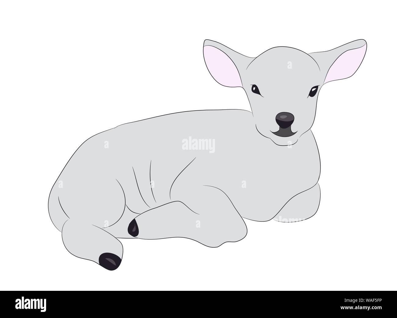 lamb is drawing color, vector, white background Stock Vector Image