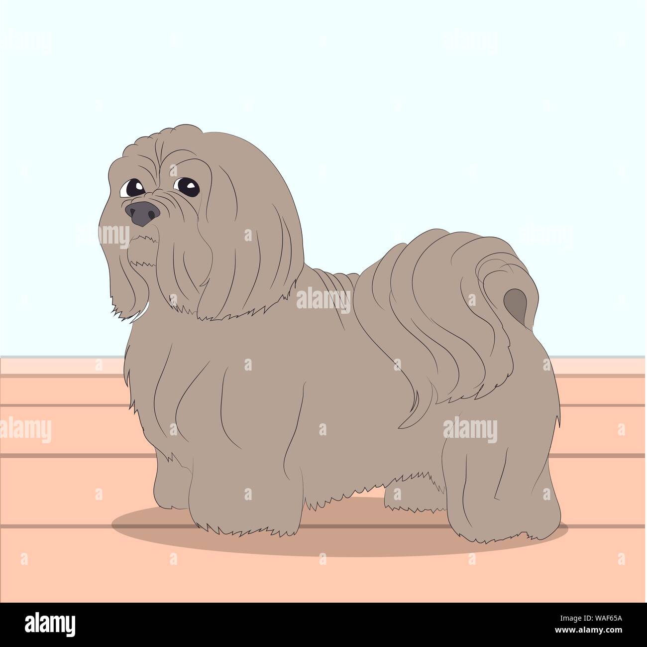 dog is a brown vector in the room Stock Vector Image & Art - Alamy