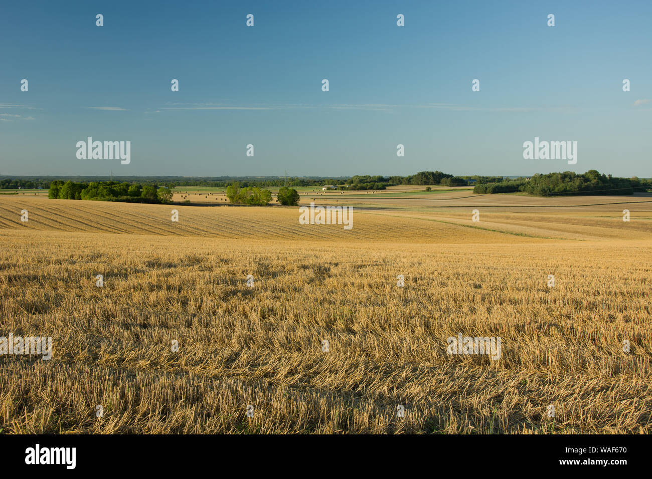 Harvested hilly fields, horizon and sky Stock Photo