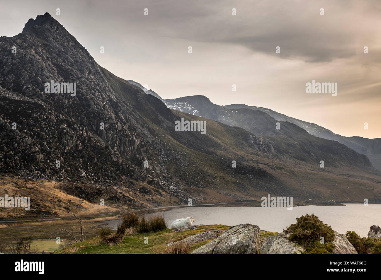 Moody scenic view of Ogwen Valley, Mount Tryfan, Llyn Ogwen & Glyderau