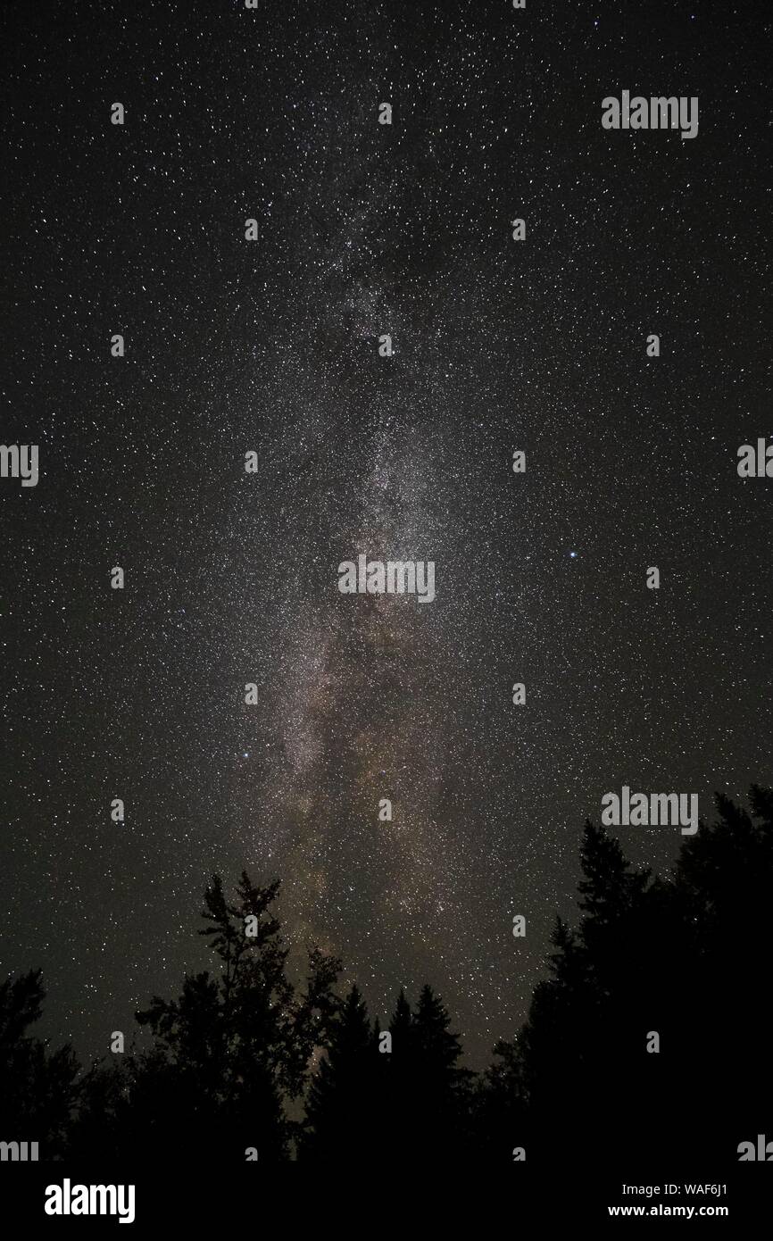 Starry sky over forest hi-res stock photography and images - Alamy