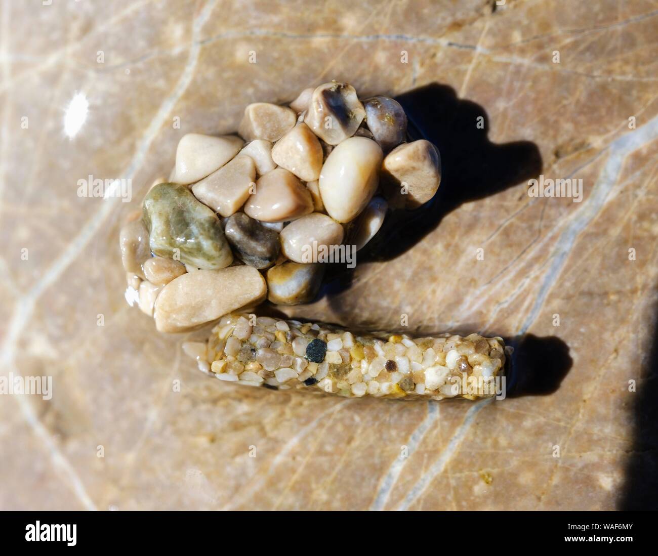 Doll quiver made of small stones and larva by Caddisfly (Trichoptera), protected by small stones, on stone in Isar, Bavaria, Germany Stock Photo