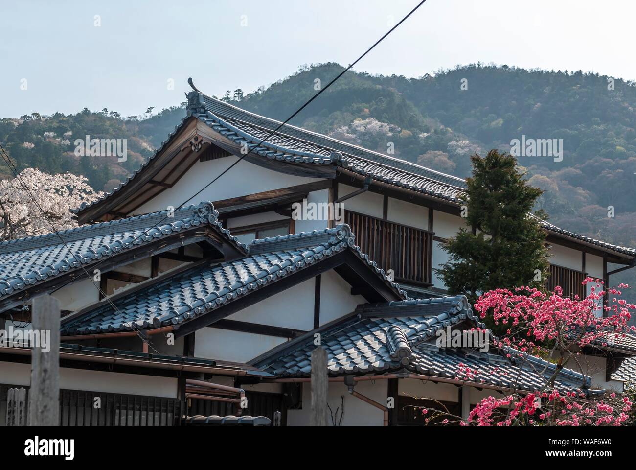 Building, residential house with Japanese architecture, Kyoto, Japan