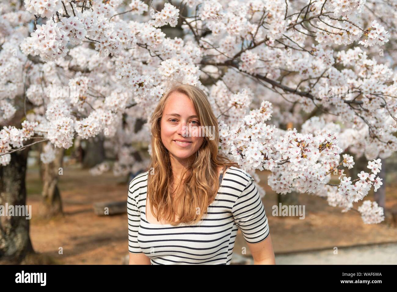Tourist, young woman between blossoming cherry blossoms, Japanese cherry blossom in spring, Tokyo, Japan Stock Photo