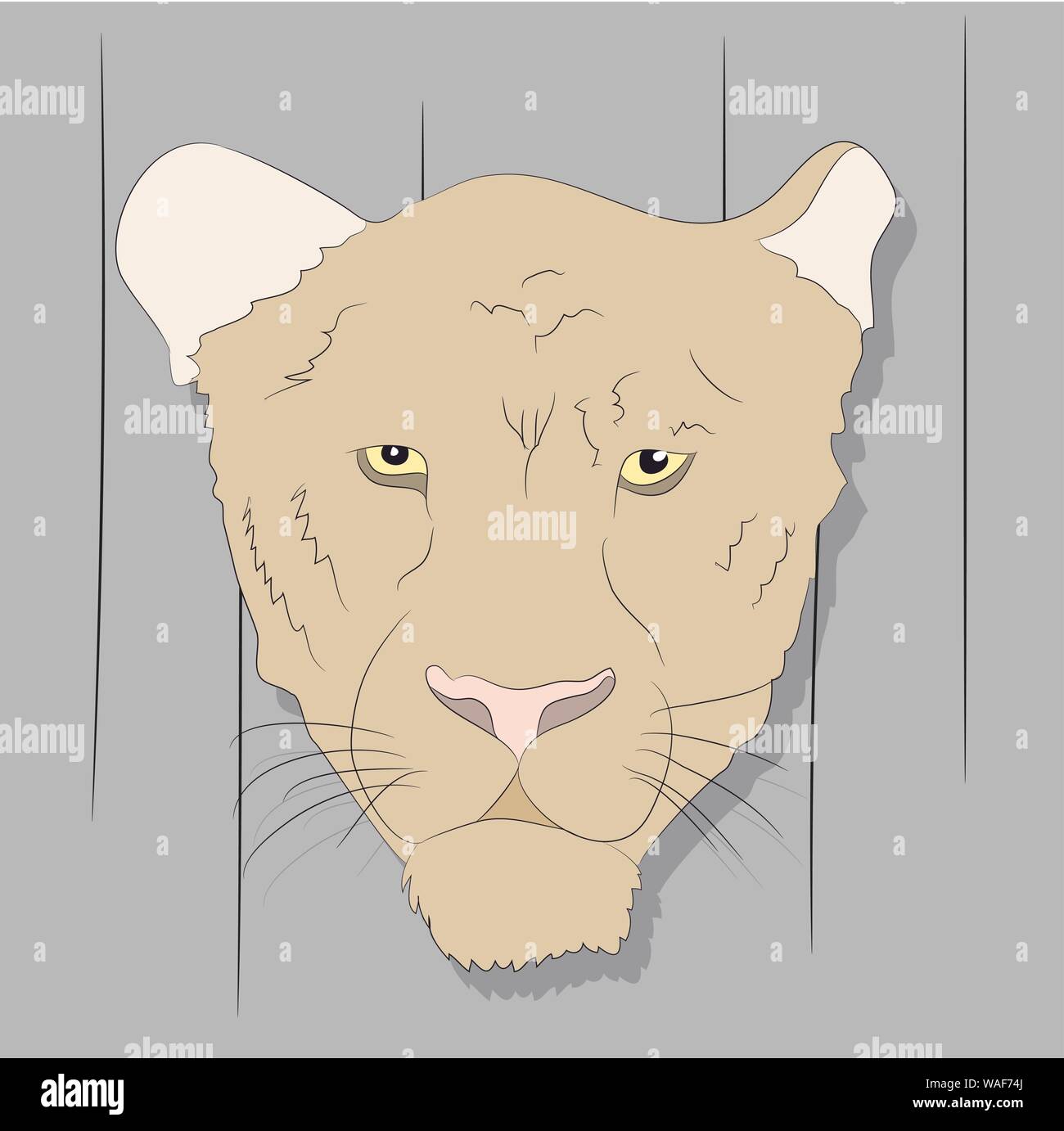 portrait of a cougar looking at wall vector background Stock Vector