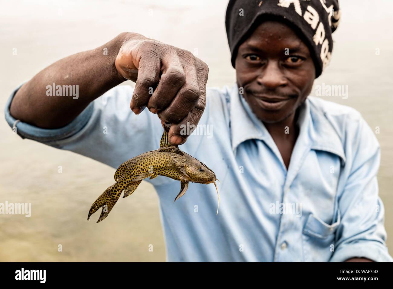 African shows small captured catfish (Siluridae), Cuanavale River, Cuando Cubango Province, Angola Stock Photo