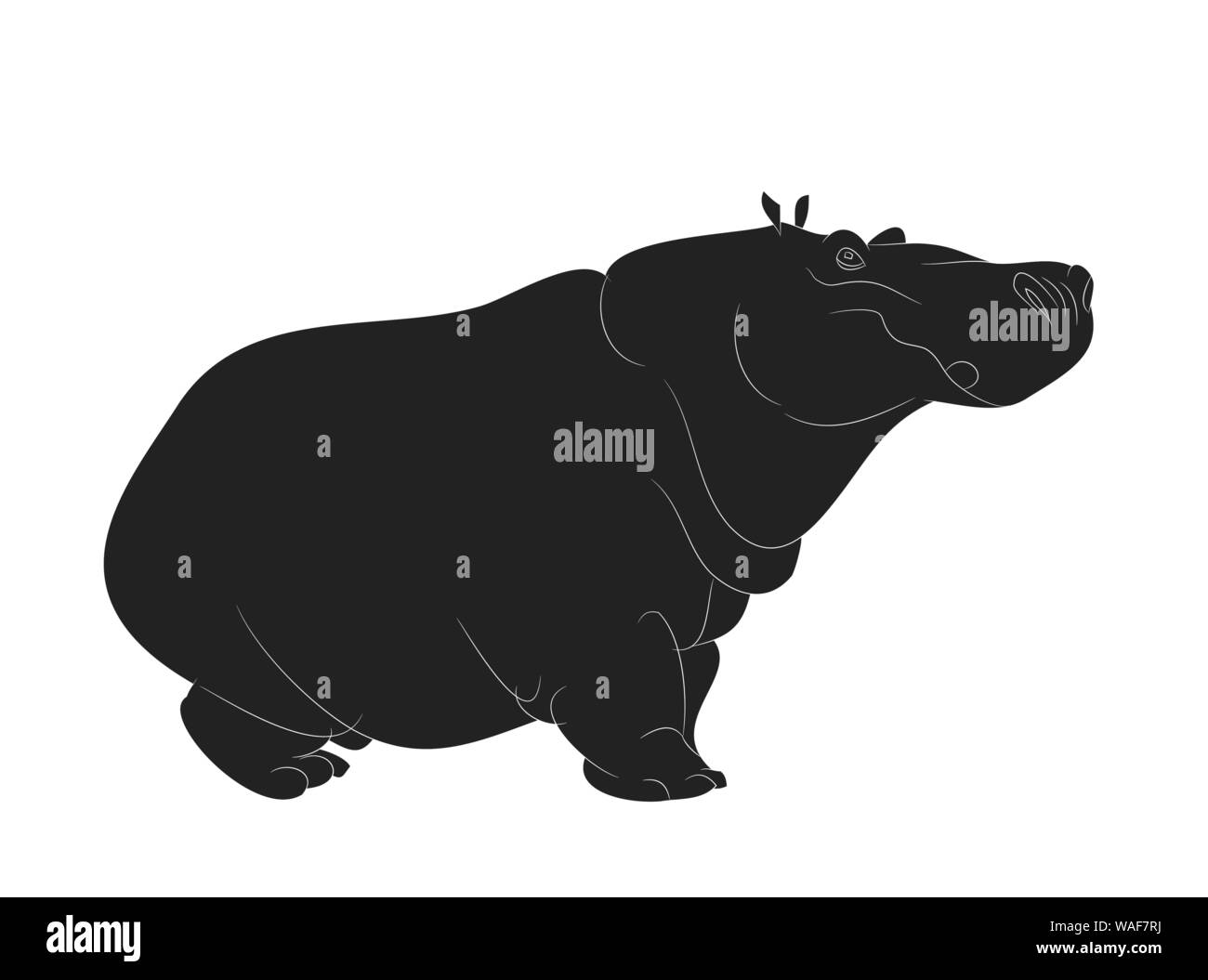 Hippo stands drawing silhouette, vector, white background Stock Vector
