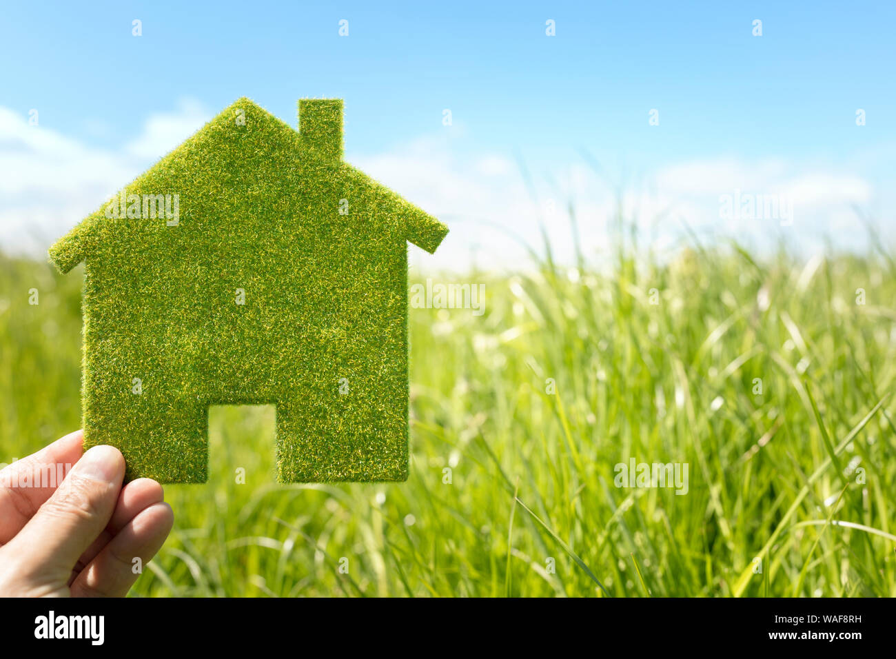 Green eco house environmental background in grass field for future residential building plot Stock Photo