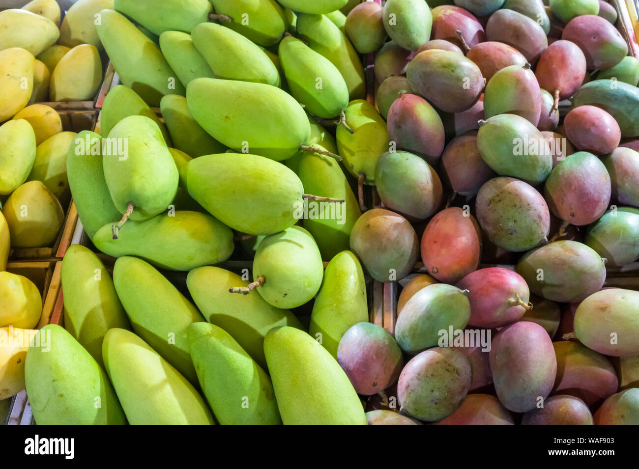 Fresh mangoes in the market Stock Photo Alamy