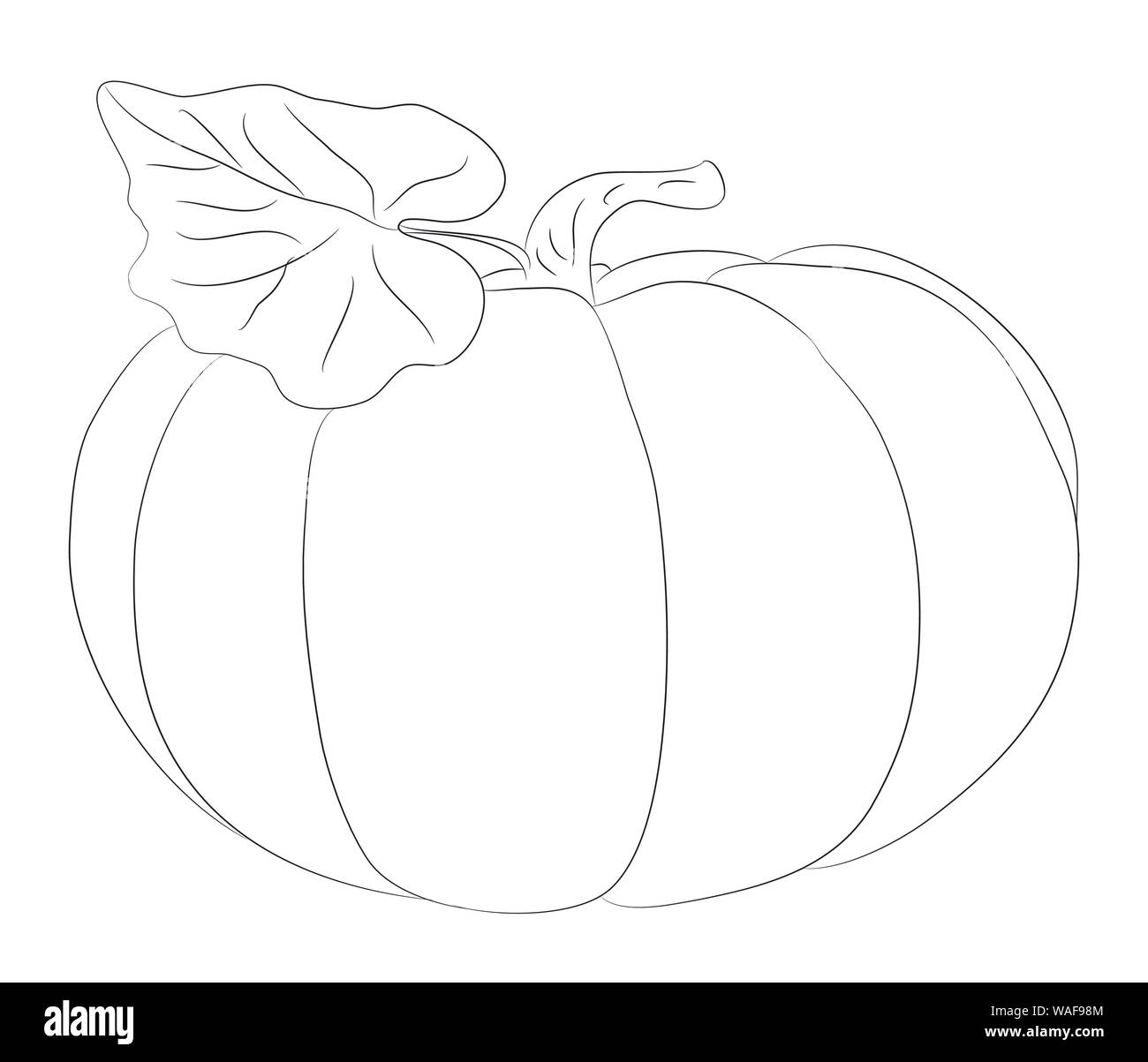 Fruits drawing hi-res stock photography and images - Alamy